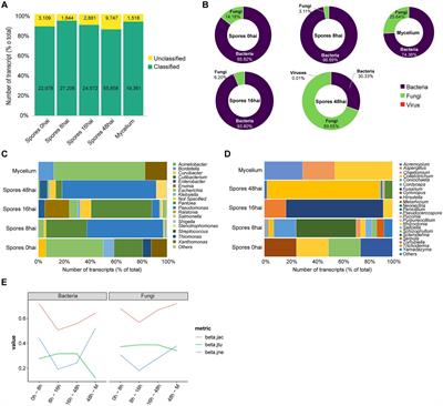 Characterization of the microbiota dynamics associated with Moniliophthora roreri, causal agent of cocoa frosty pod rot disease, reveals new viral species